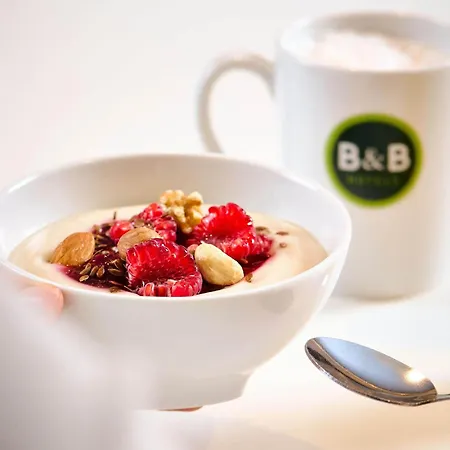 Dortmund-airport هولزفيكيد